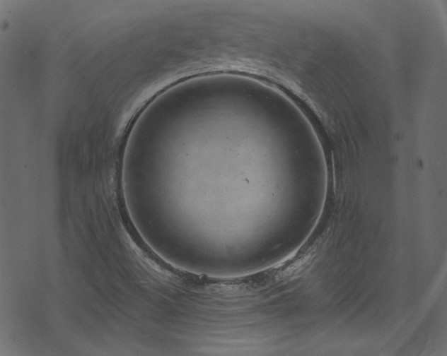 X0000074341500200608251338