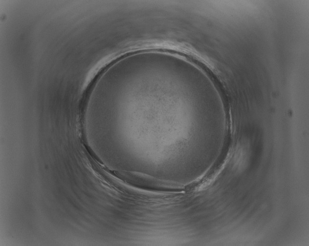 X0000074341501200608251338