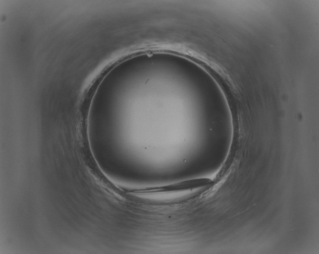 X0000074341502200608251338