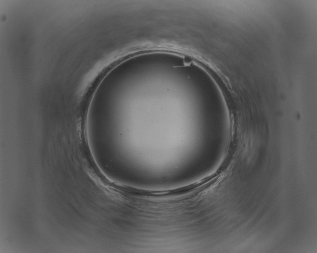 X0000074341503200608251338