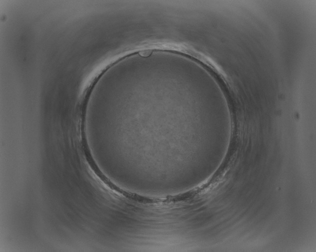 X0000074341504200608251338