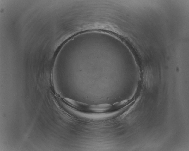 X0000074341505200608251338