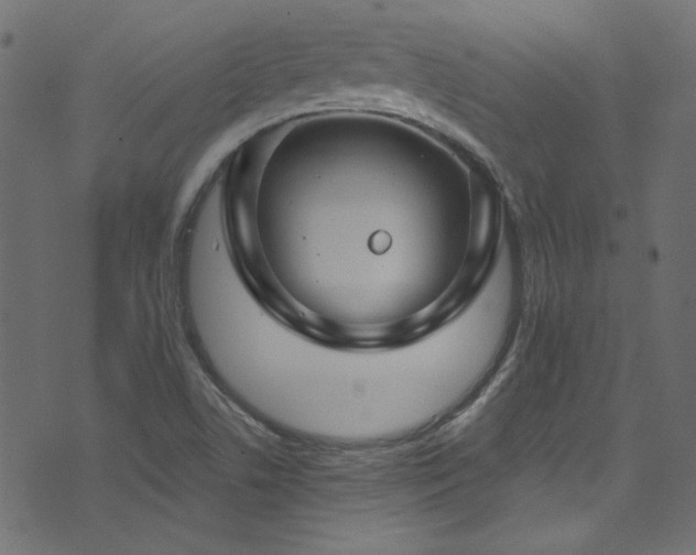 X0000074341506200608251338