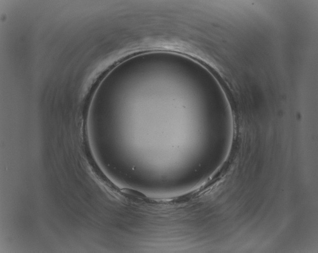 X0000074341507200608251338