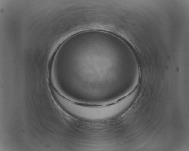 X0000074341508200608251338