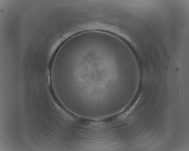 X0000074341509200608251338