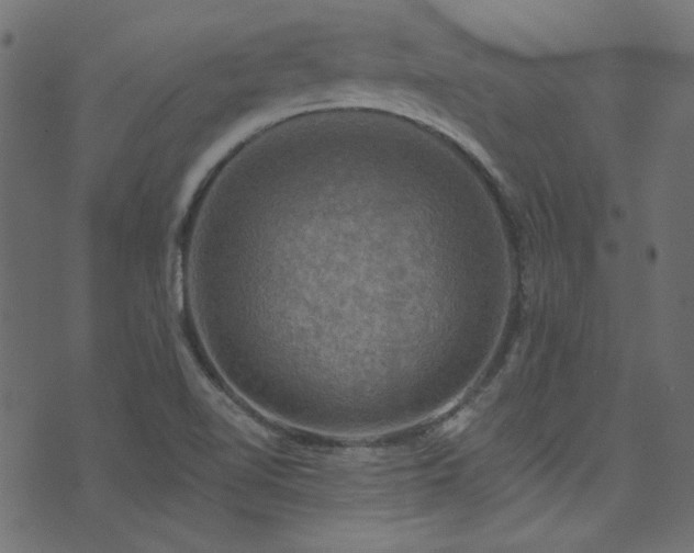 X0000074341510200608251338