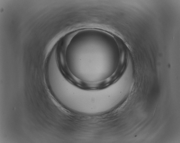 X0000074341511200608251338