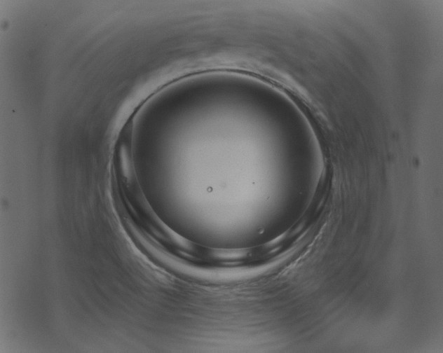 X0000074341512200608251338