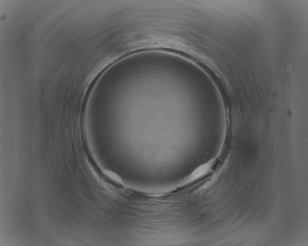 X0000074341513200608251338