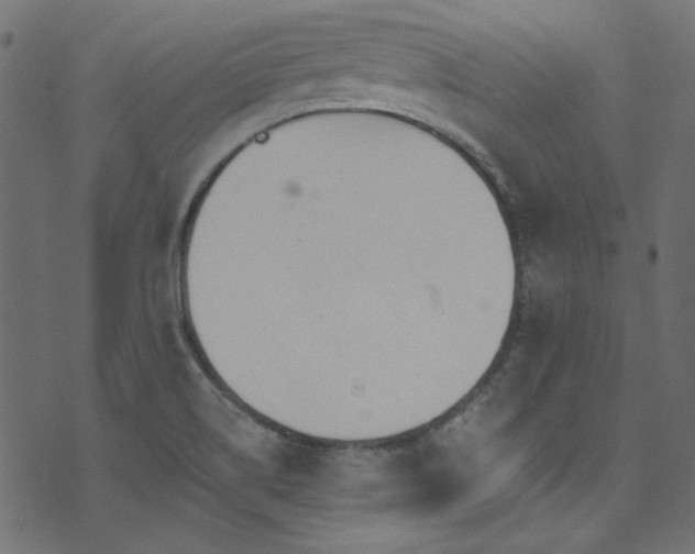 X0000074341514200608251338