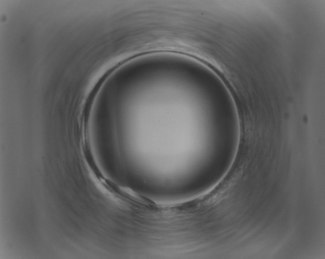 X0000074341515200608251338