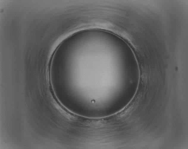 X0000074341516200608251338