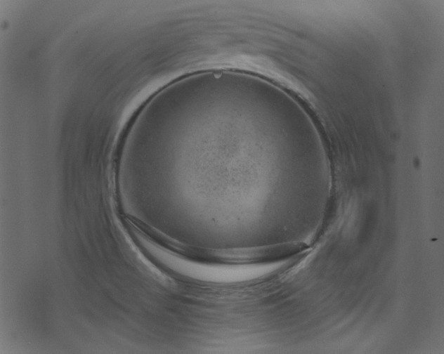 X0000074341517200608251338