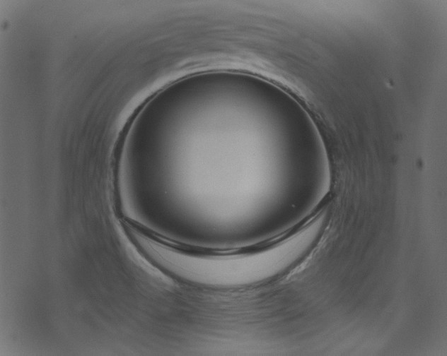 X0000074341518200608251338