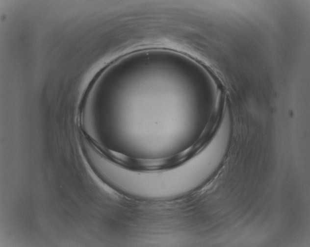 X0000074341519200608251338