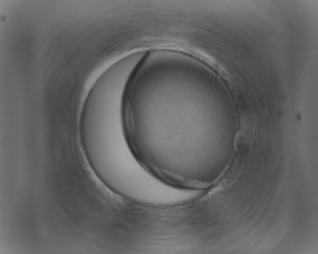 X0000074341520200608251338