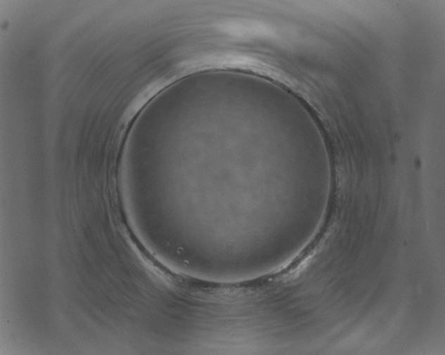 X0000074341521200608251338