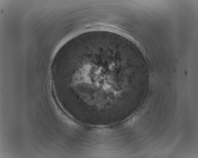 X0000074341522200608251338