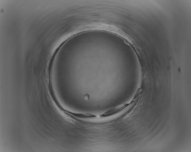 X0000074341523200608251338