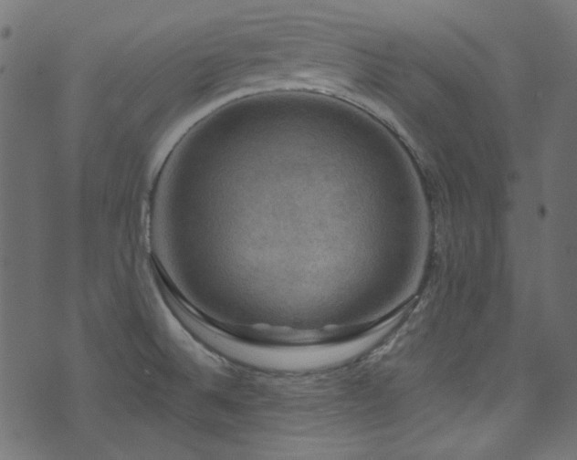 X0000074341524200608251338