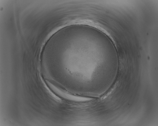 X0000074341525200608251338