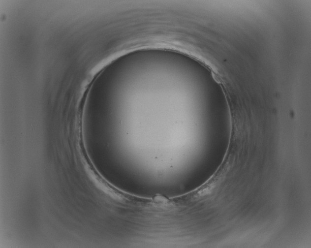 X0000074341526200608251338