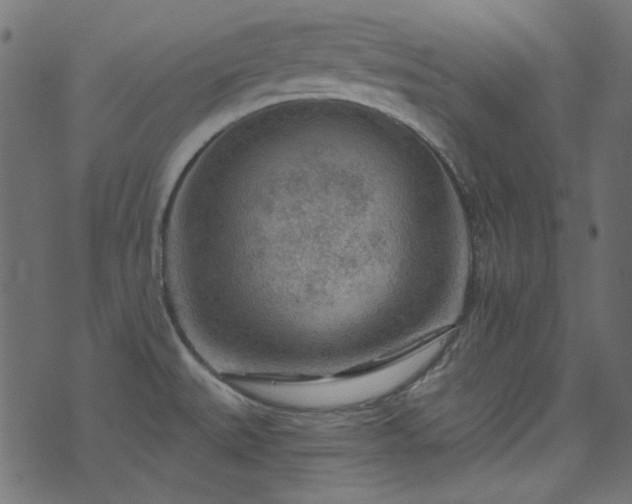 X0000074341527200608251338