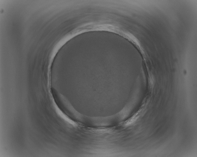 X0000074341528200608251338