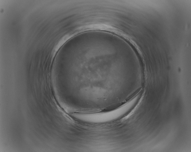 X0000074341529200608251338