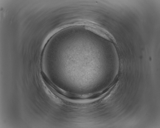 X0000074341530200608251338