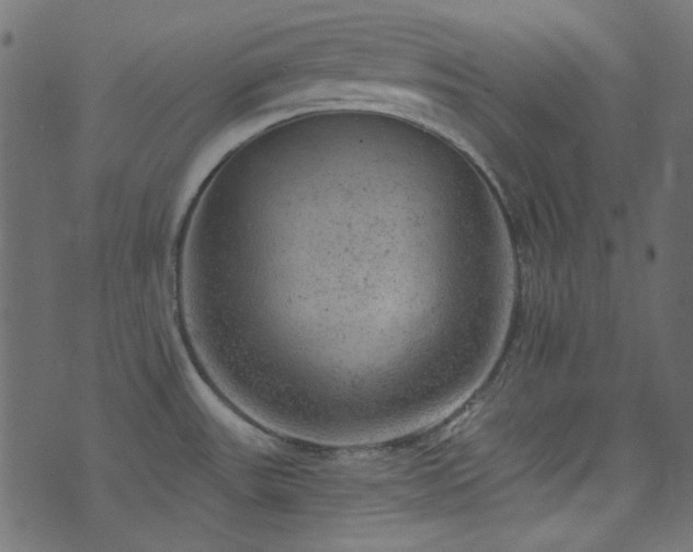 X0000074341531200608251338