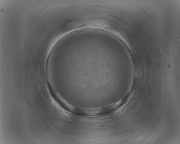 X0000074341532200608251338