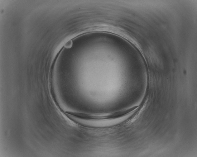 X0000074341533200608251338