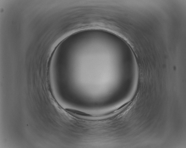 X0000074341534200608251338