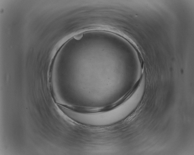 X0000074341535200608251338