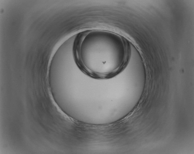 X0000074341536200608251338