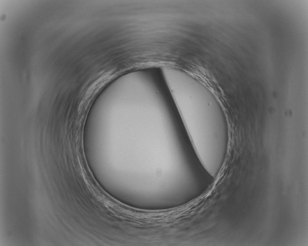 X0000074340001200609011640