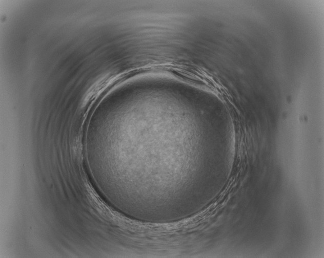 X0000074340002200609011640