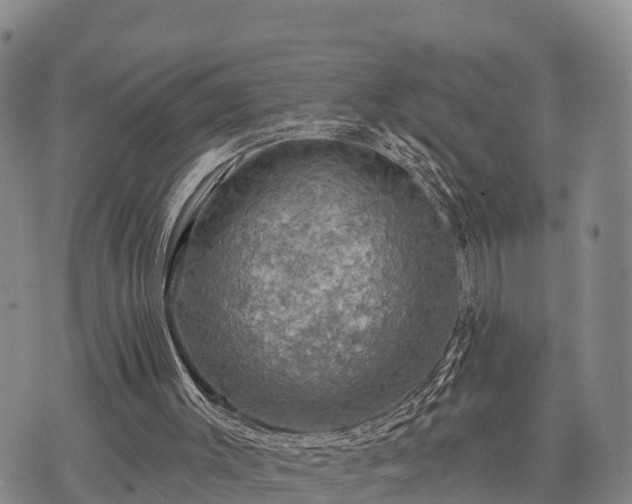 X0000074340003200609011640