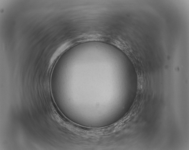 X0000074340004200609011639