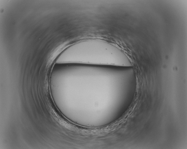 X0000074340005200609011639