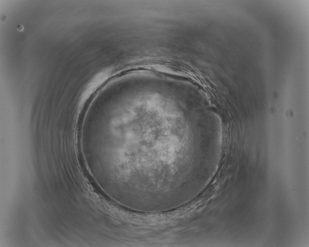 X0000074340006200609011639