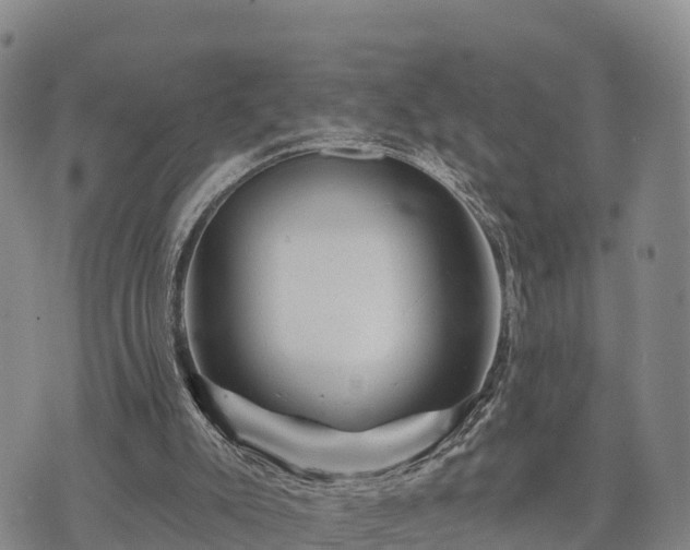 X0000074340007200609011639