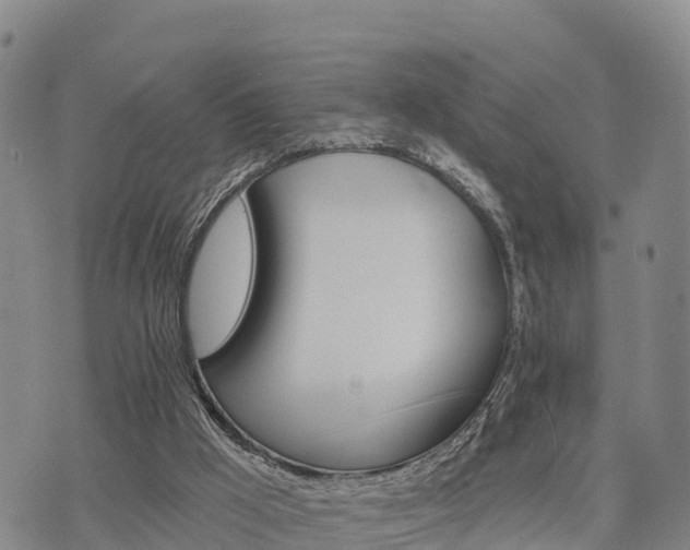 X0000074340009200609011639