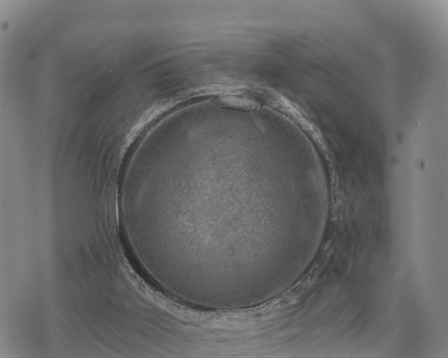 X0000074340011200609011639