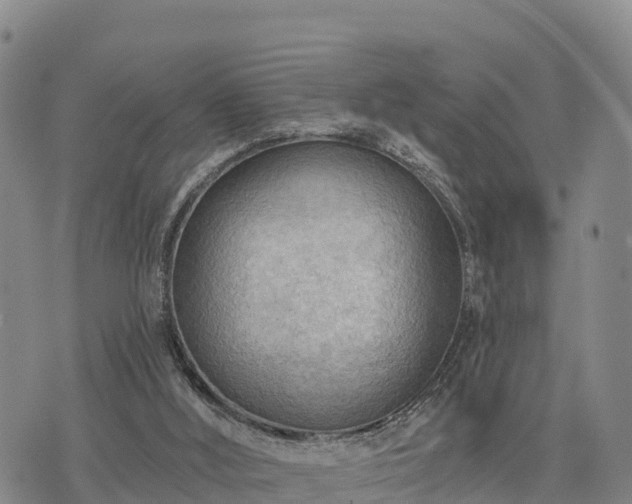 X0000074340012200609011639