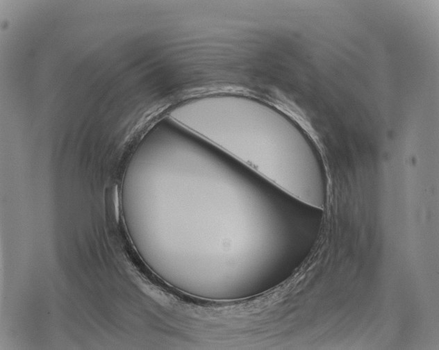 X0000074340013200609011639