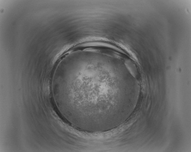 X0000074340015200609011639