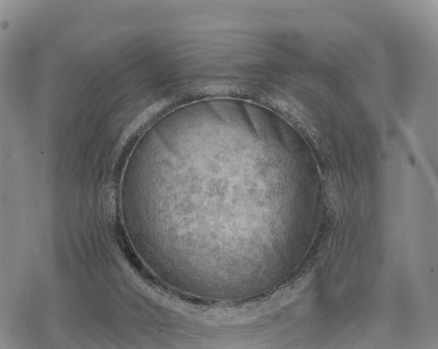 X0000074340016200609011639